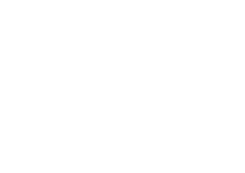 Muslim Council of Elders