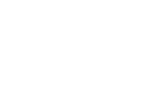 European Parliament